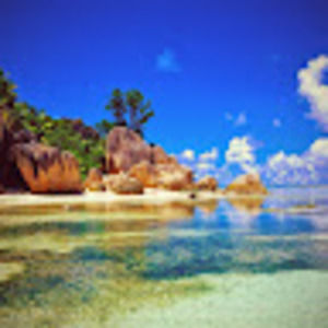 Meet your Posher, Carey lin